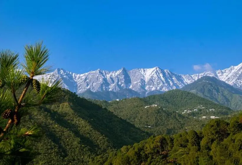 デラックスルーム, Dhauladhar View Village Resort