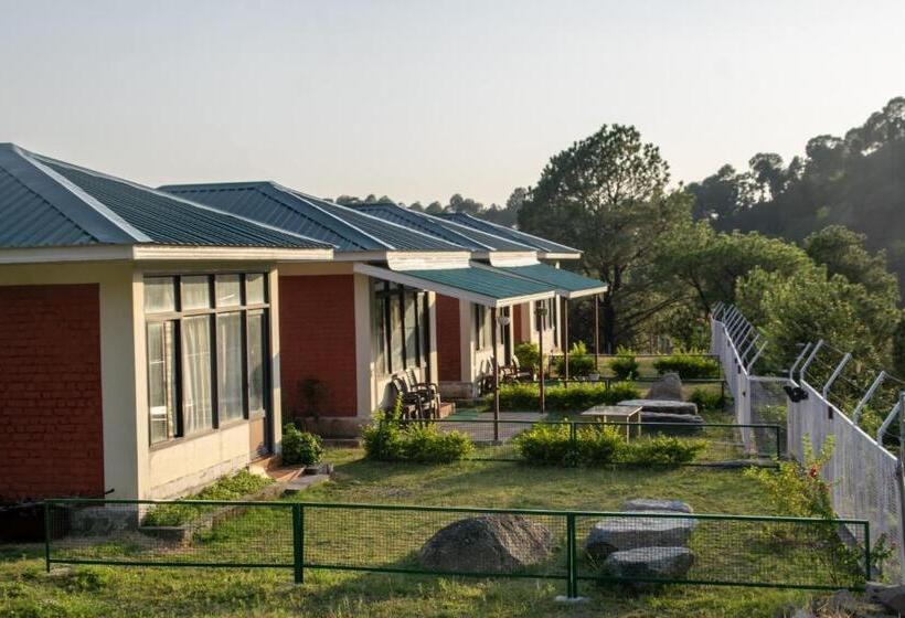 اتاق لوکس, Dhauladhar View Village Resort