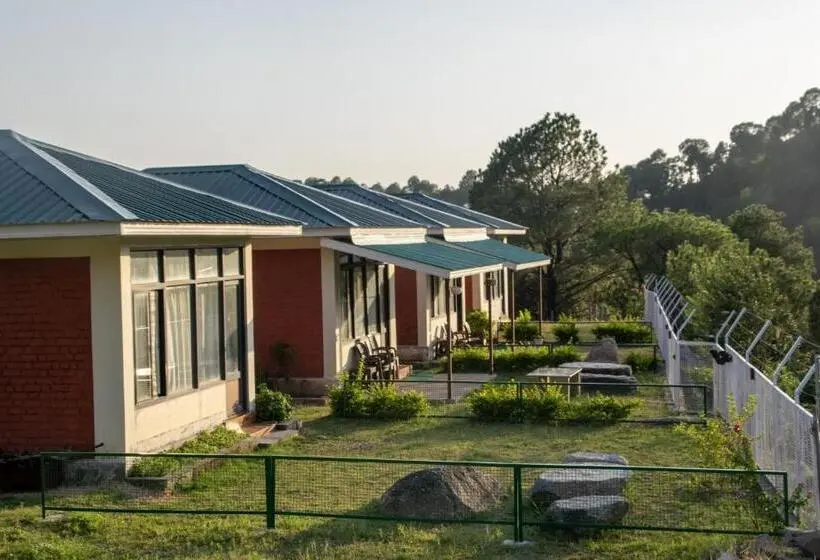 デラックスルーム, Dhauladhar View Village Resort