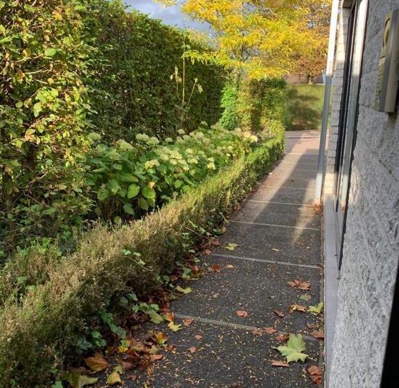 标准间, Guestsuite The Nest