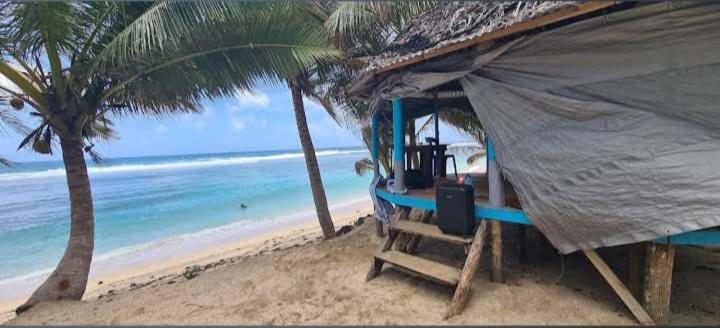 اتاق استاندارد, Jaymy Beach Fales