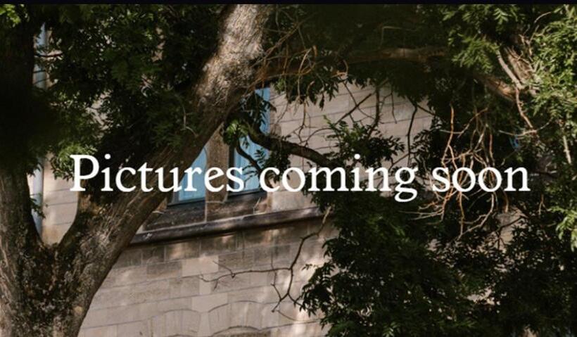 سوییت جونیور لوکس, Kint