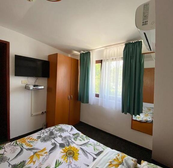 اتاق استاندارد یک نفره, Pescarus Port Bicaz