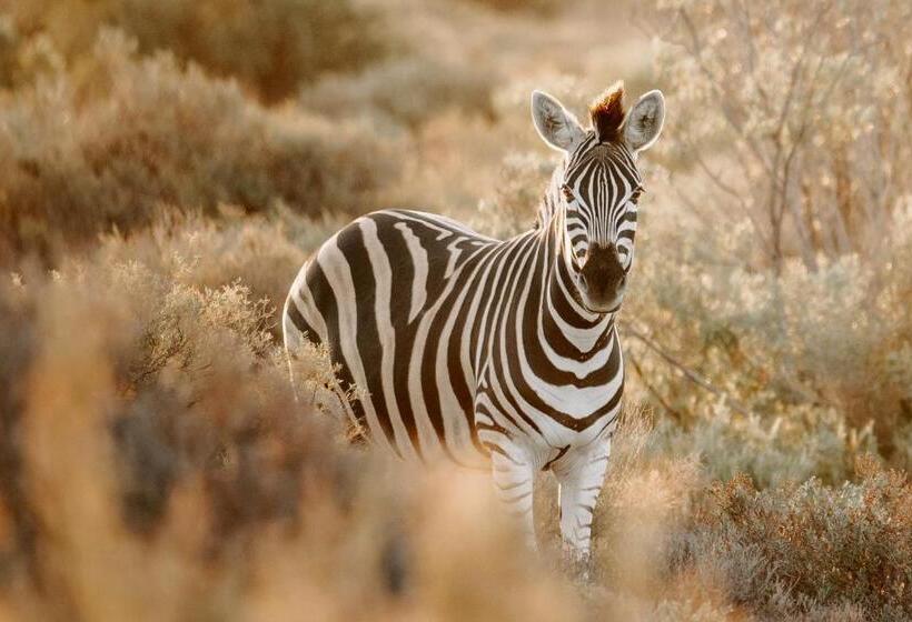 3间卧室的房子, Breathe Accommodation