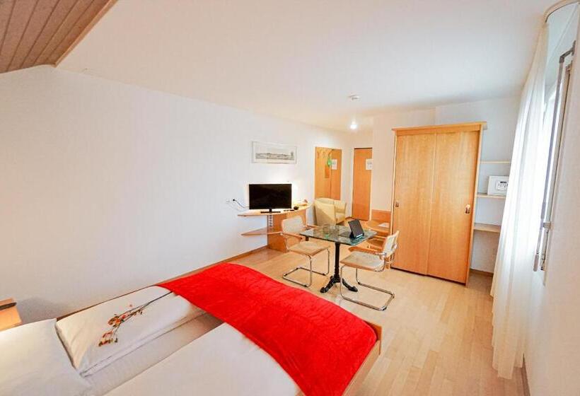 스탠다드 룸, Centra Hotel Zurich