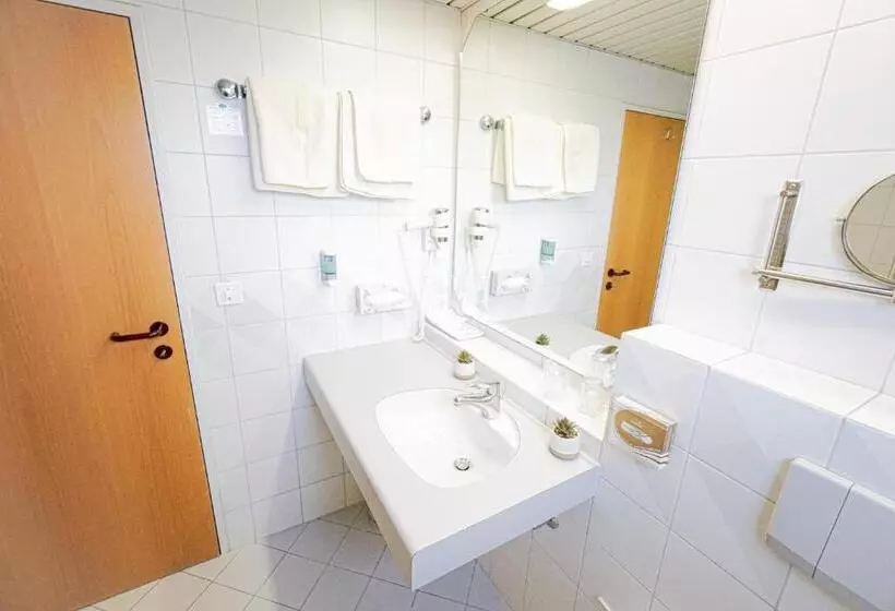 Standard Yhden Hengen Huone, Centra Hotel Zurich