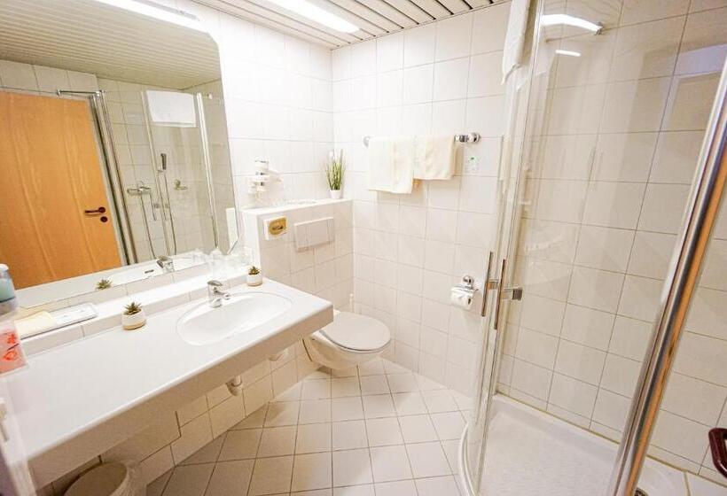 이코노미 룸, Centra Hotel Zurich