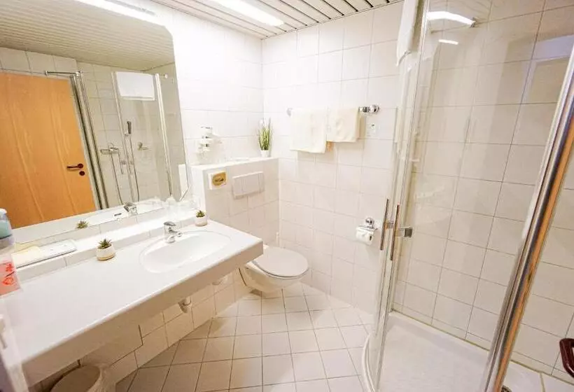 Economy-huone, Centra Hotel Zurich