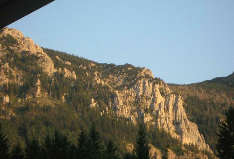 Номер Стандарт, 2 Sterne Gasthof Pension Kienklause Kein Wifi Wlan Keinen Handyempfang