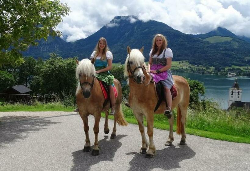 1ベッドルームアパートメント, Altroiterhof