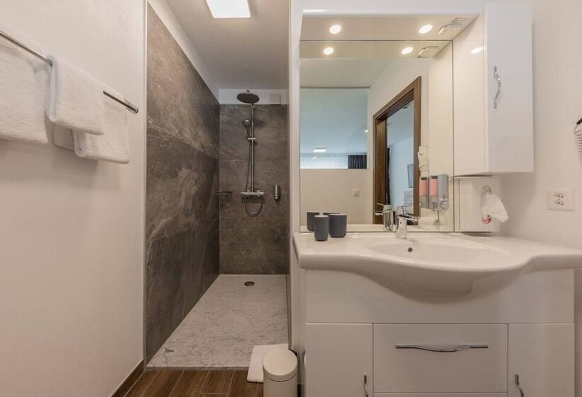 חדר דלוקס, Blattnerhof