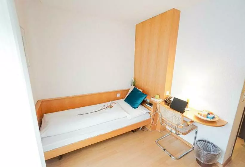 Deluxe Yhden Hengen Huone, Centra Hotel Zurich