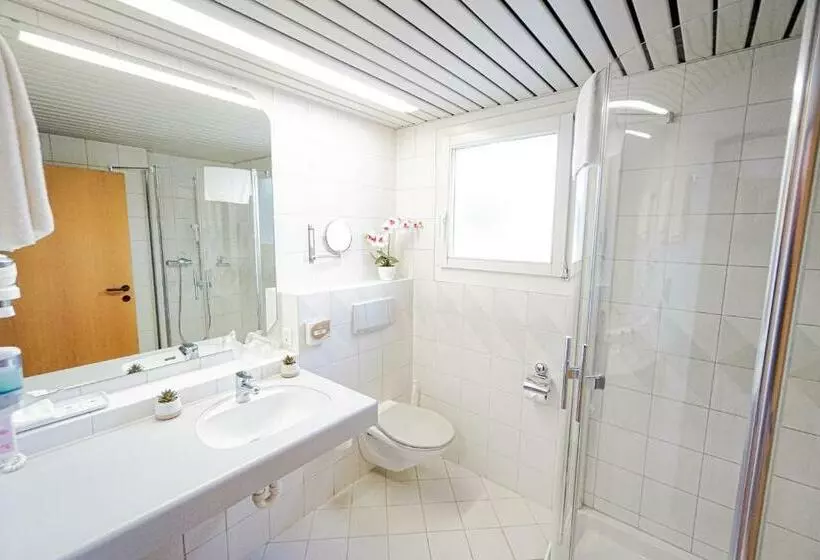 Deluxe Yhden Hengen Huone, Centra Hotel Zurich