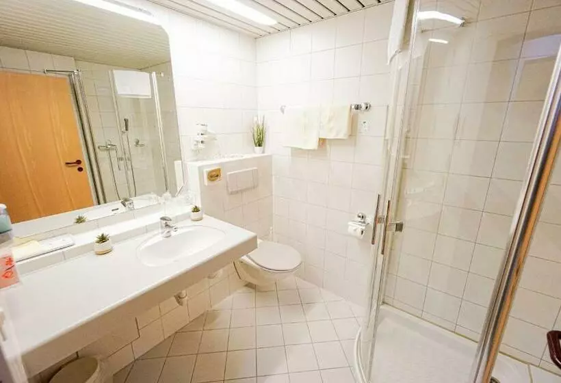 Standard-huone, Centra Hotel Zurich