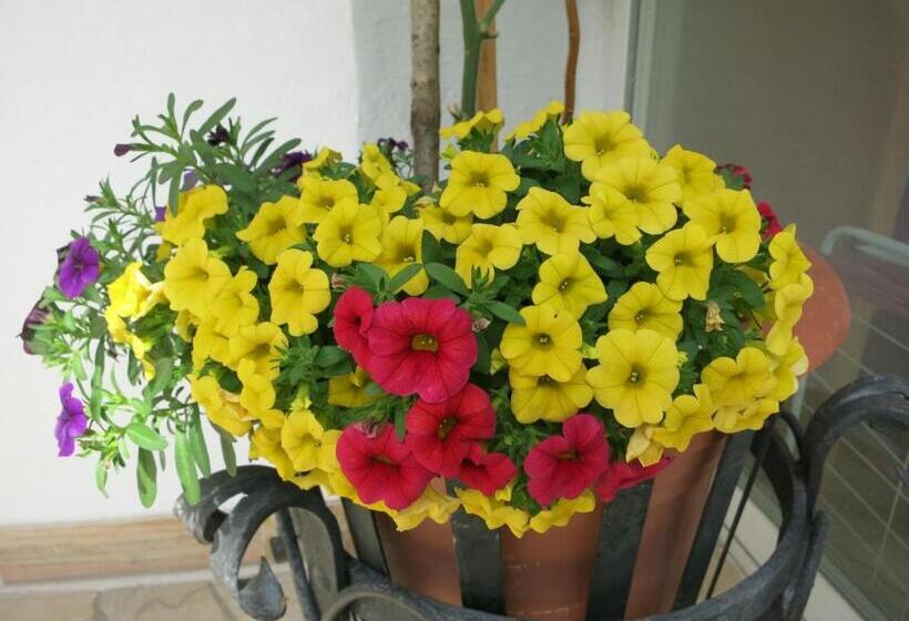 1 Sovrums Lägenhet, Haus Daniela