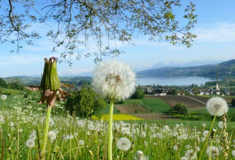 스탠다드 싱글 룸, Restaurant Eichberg