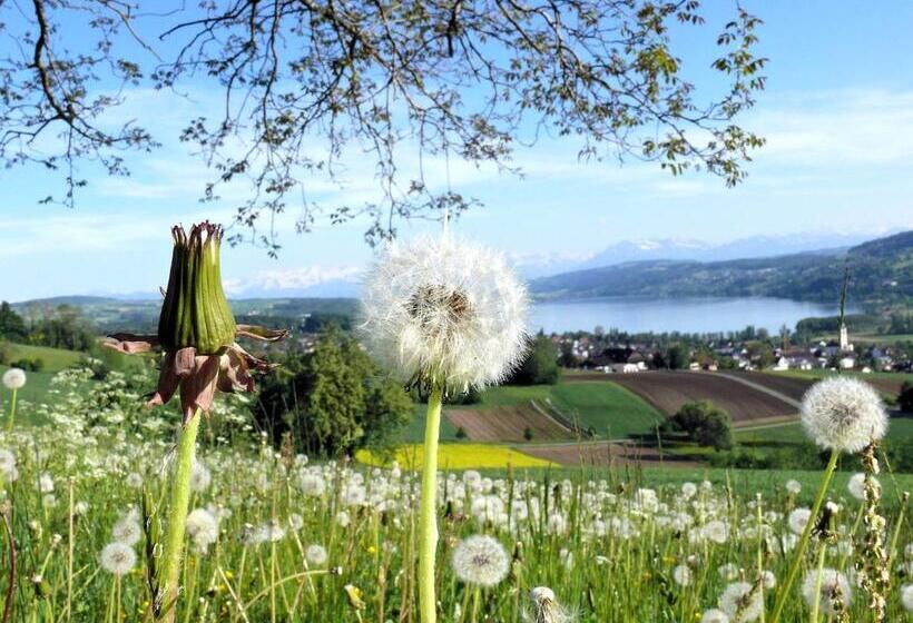 스탠다드 룸, Restaurant Eichberg