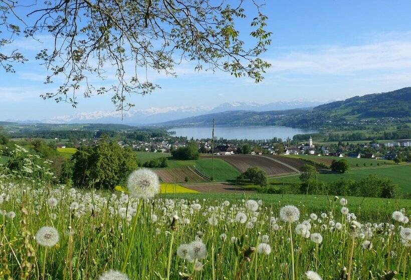 발코니 스탠다드 싱글 룸, Restaurant Eichberg