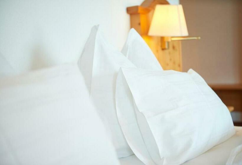 غرفة قياسية مطلّة علي البحيرة, Stadler Am Attersee