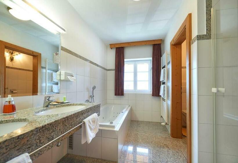 غرفة قياسية مطلّة علي البحيرة, Stadler Am Attersee