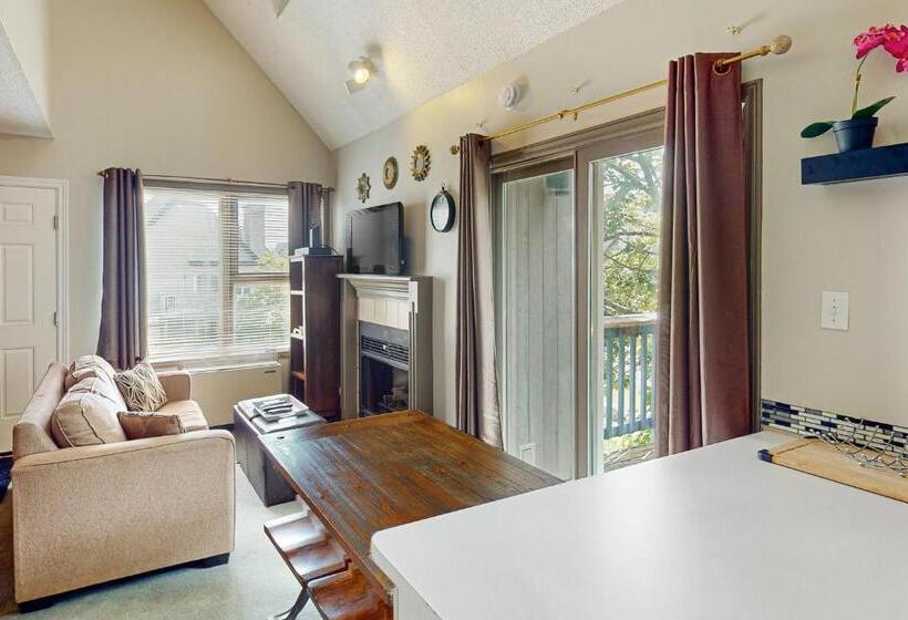 إستوديو قياسى, Condo 515 At North Creek Resort