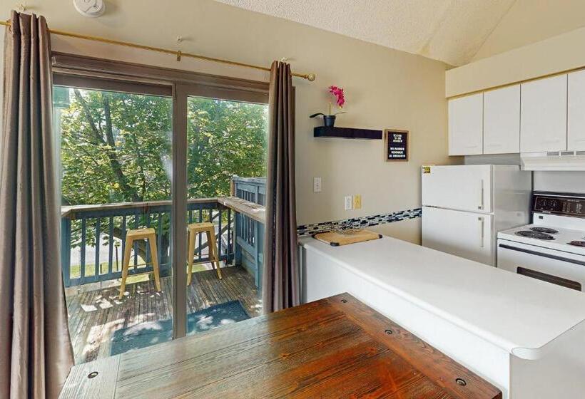 إستوديو قياسى, Condo 515 At North Creek Resort