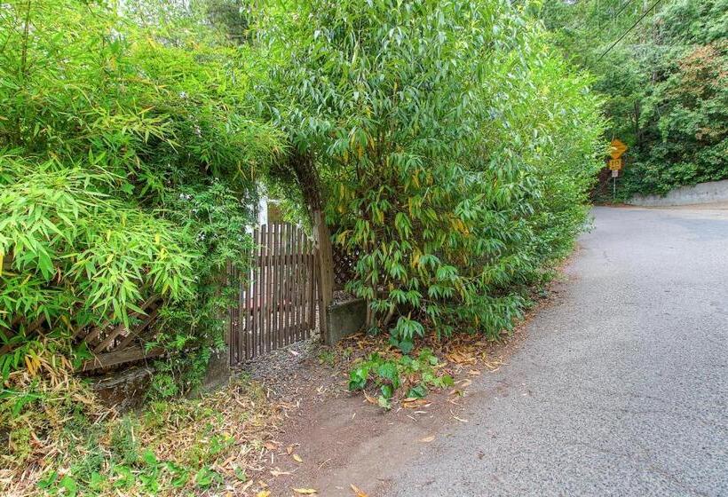 스탠다드 스튜디오, Downtown Cottage In The Woods