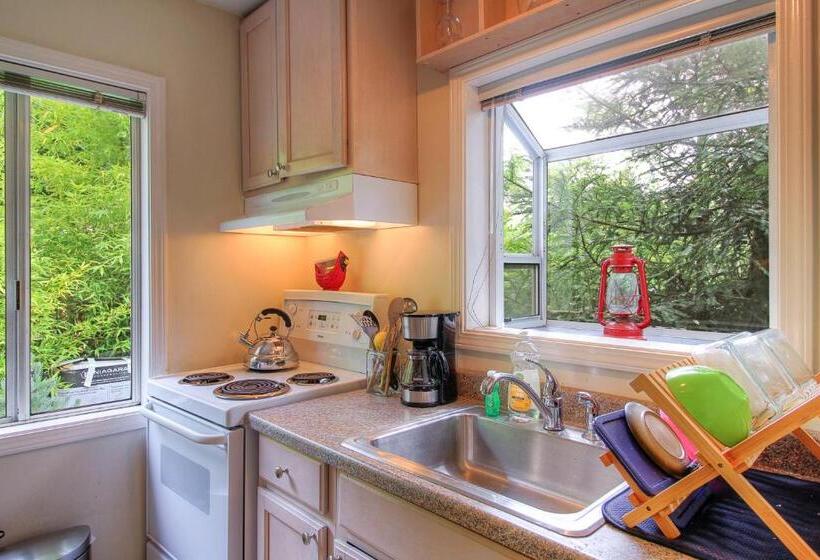 스탠다드 스튜디오, Downtown Cottage In The Woods