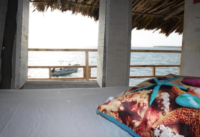 4인용 스탠다드 룸, Piña Colada Hostels