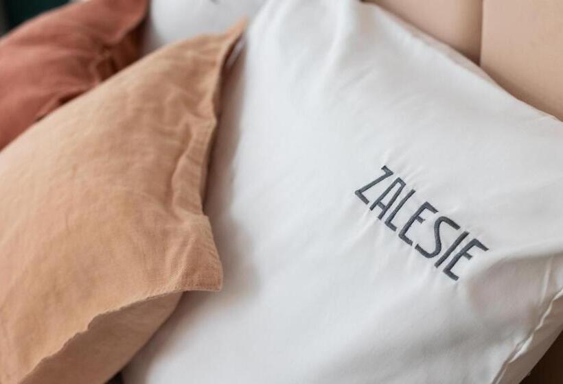 غرفة ديلوكس, Willa Zalesie