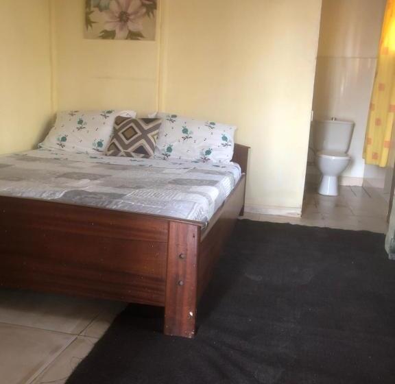 استودیو استاندارد با چشم‌انداز, Zion Inn