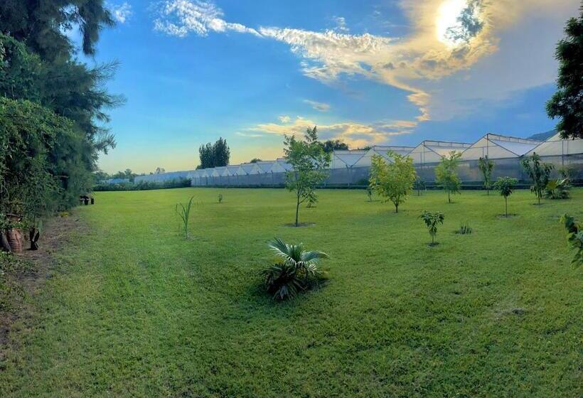 غرفة عائلية, Posada Del Cerro