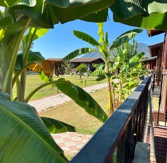 סוויטה נוף להרים, Alicra Hotel çıralı