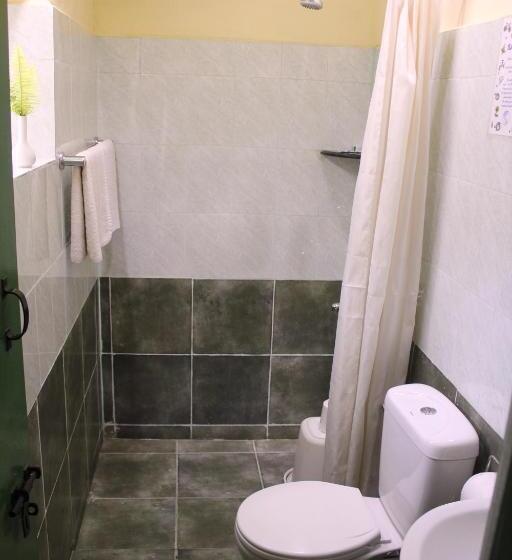 スタンダードルーム, The Last Shola