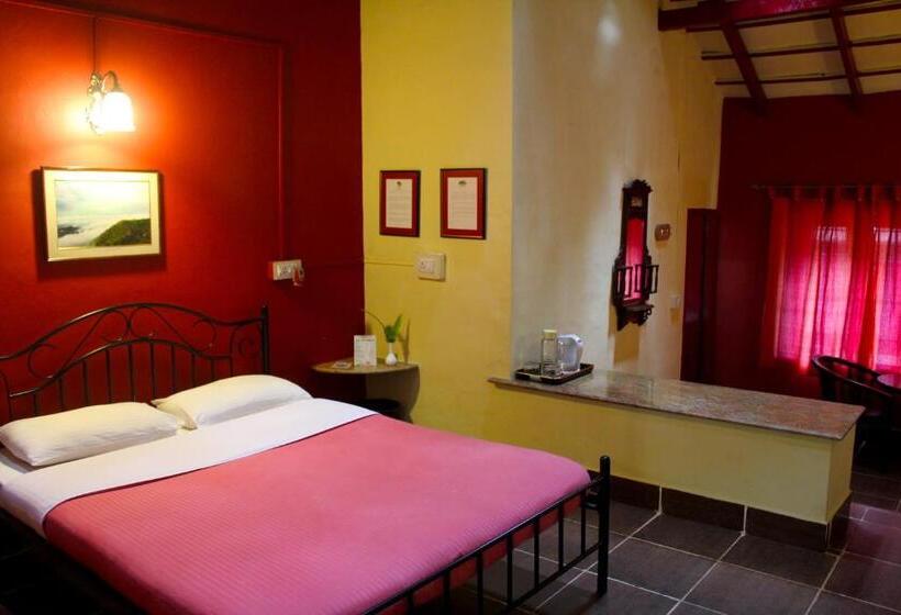 スタンダードルーム, The Last Shola