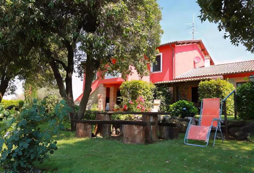 テラス付き１ベッドルームアパートメント, Agriturismo L Elce