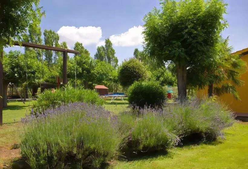 آپارتمان 1 خوابه همکف, Agriturismo L Elce