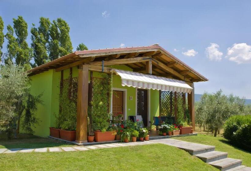 プールの見える１ベッドルームアパートメント, Agriturismo L Elce