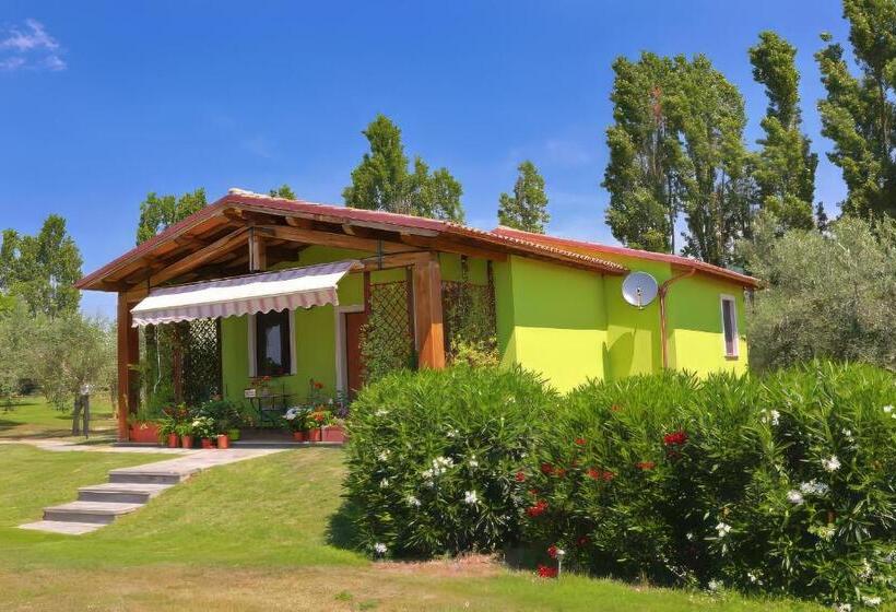 침실 1개 풀장 전망 아파트, Agriturismo L Elce