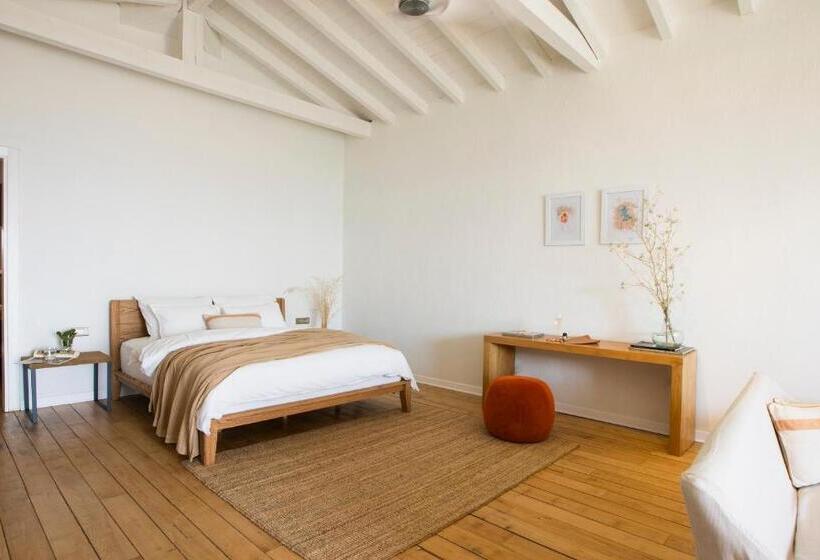 جناح جونيور مزوَّد بتراس, Momos Otel