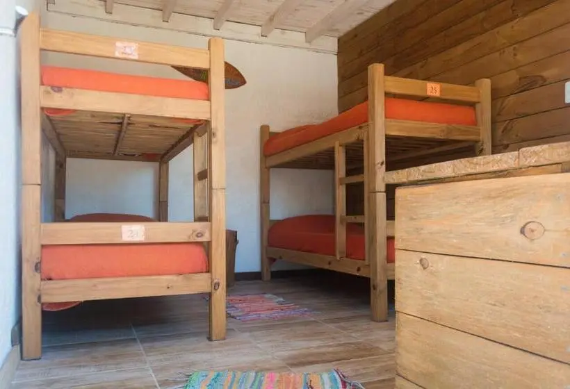 تختخواب در اتاق مشترک, Las Palmas Beach Hostel