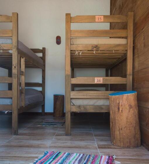 공동 객실, Las Palmas Beach Hostel