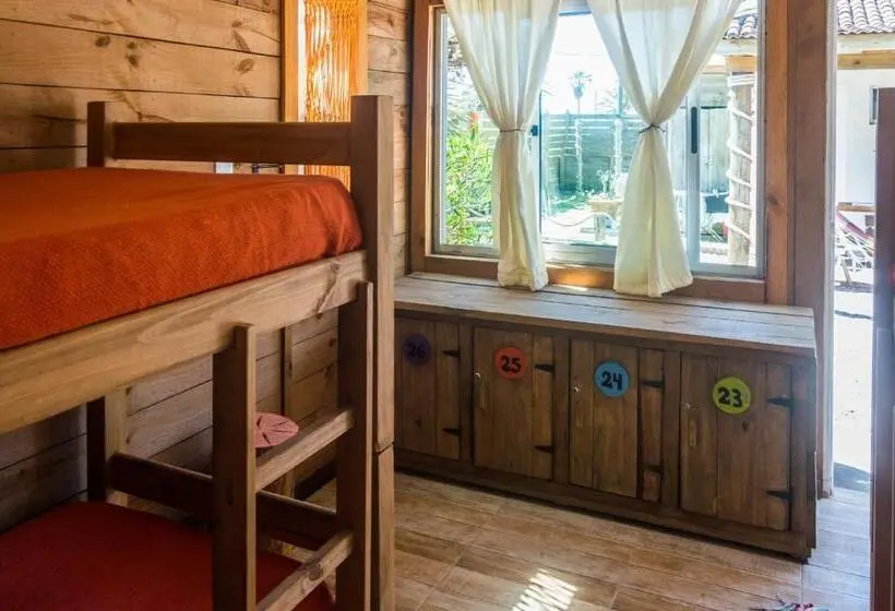 اتاق استاندارد چهارنفره با سرویس بهداشتی مشترک, Las Palmas Beach Hostel