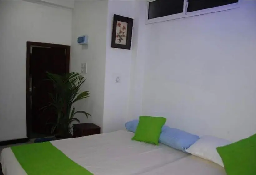 اتاق استاندارد, Surf Lodge