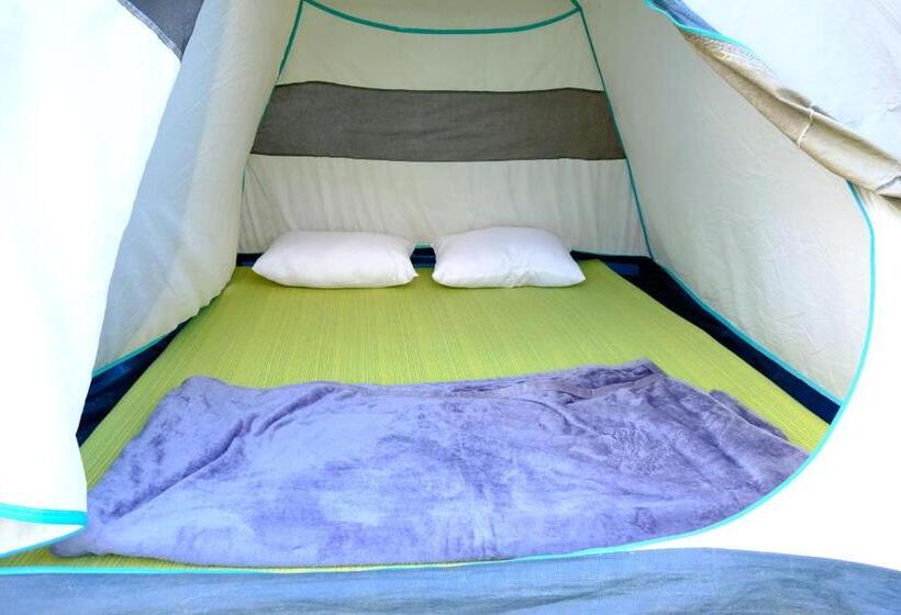 Standard Tent, Hakuna Matata Poolside Camping Pawana