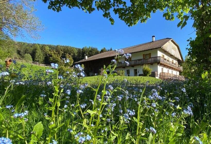 带1个卧室的带阳台的公寓, Schöpfer Hof   Urlaub Beim Biobauer