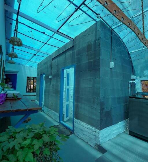 تختخواب در اتاق مشترک, House Of Surf Hostel For Women