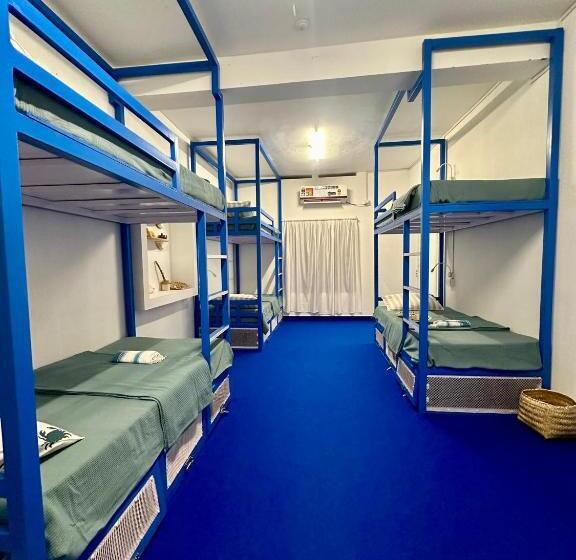 تختخواب در اتاق مشترک, House Of Surf Hostel For Women