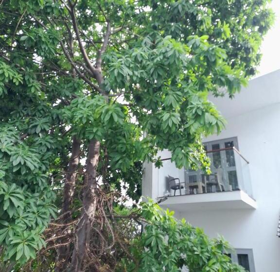 Трехместный Номер Стандарт с Балконом, Tamora By Avea