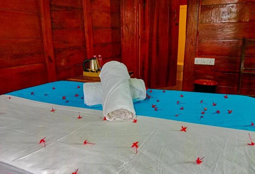 Номер Economy, Ceylon Amigos Eco Resort